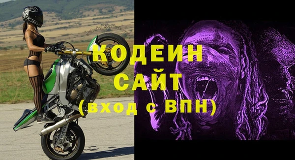 шишки Абаза
