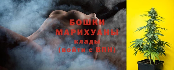 PSILOCYBIN Строитель