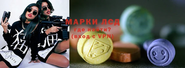 PSILOCYBIN Строитель