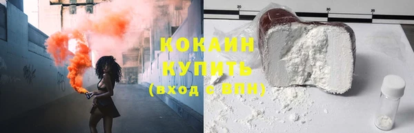 PSILOCYBIN Строитель