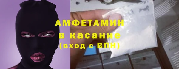 шишки Абаза