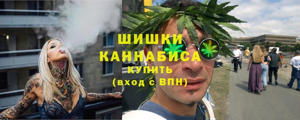 шишки Абаза