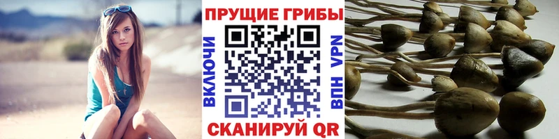 Галлюциногенные грибы ЛСД  Оренбург 