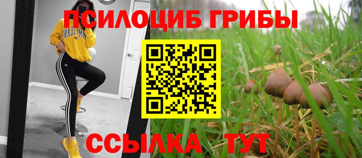 Оренбург  Псилоцибиновые грибы мицелий  Вход с VPN 
